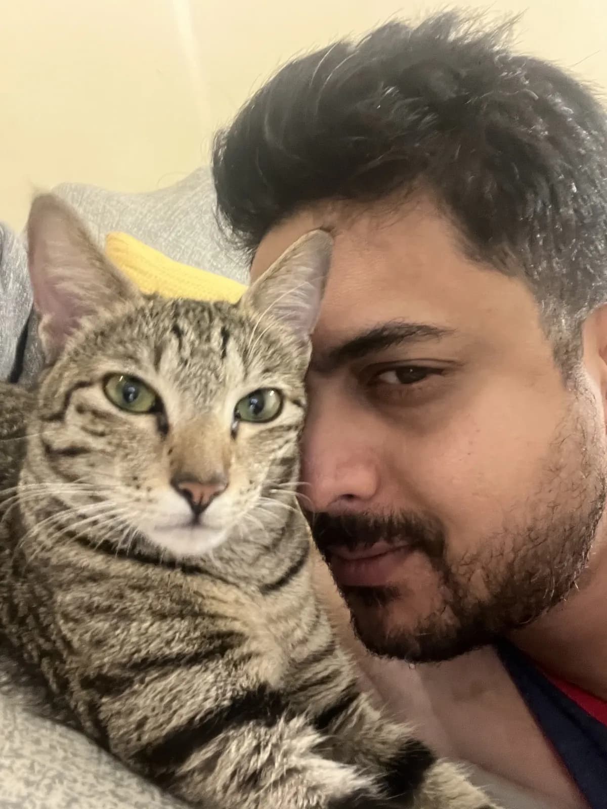 Ameet Palkar cheek to cheek with a green-eyed tabby cat