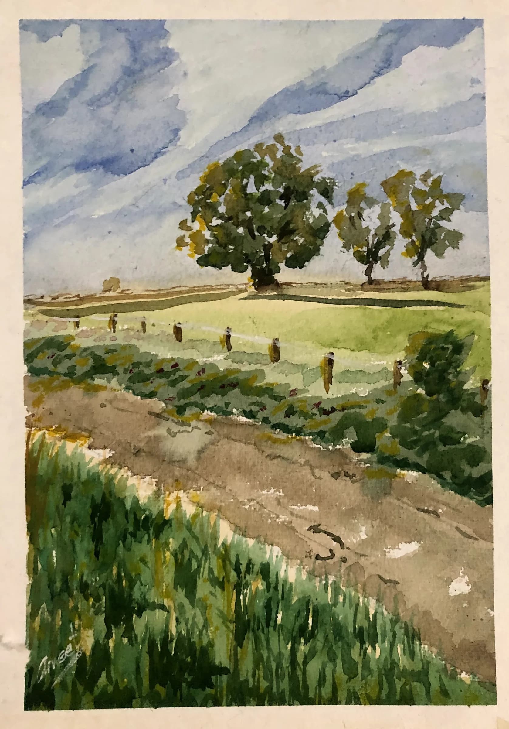 Watercolour of a country path between green fields, with trees under a blue sky